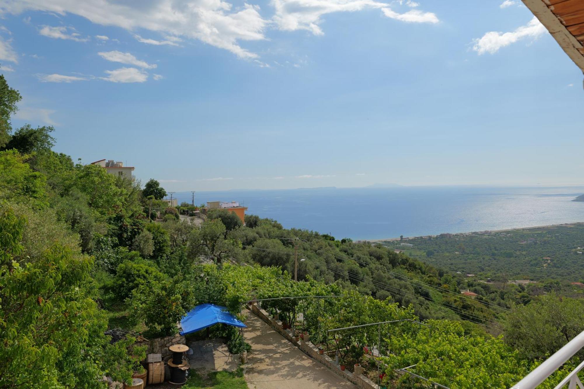 Arthur'S 4Apartments Borsh Εξωτερικό φωτογραφία
