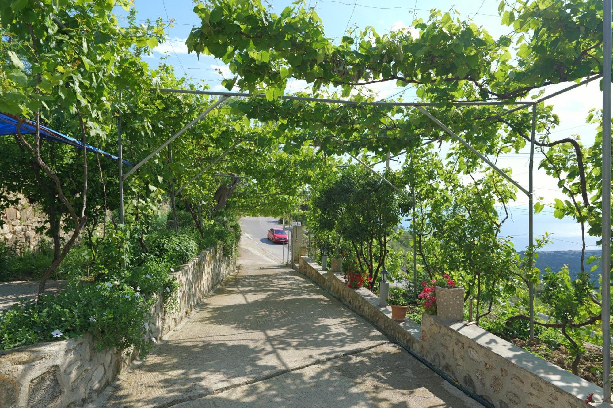 Arthur'S 4Apartments Borsh Εξωτερικό φωτογραφία